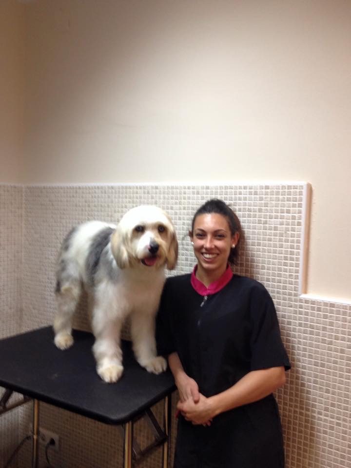 Alumna practicando con un perro en el salón
