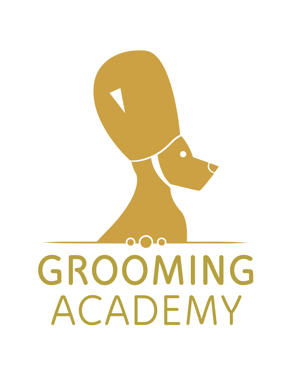 Grooming Academy, escuela de My Perruquería