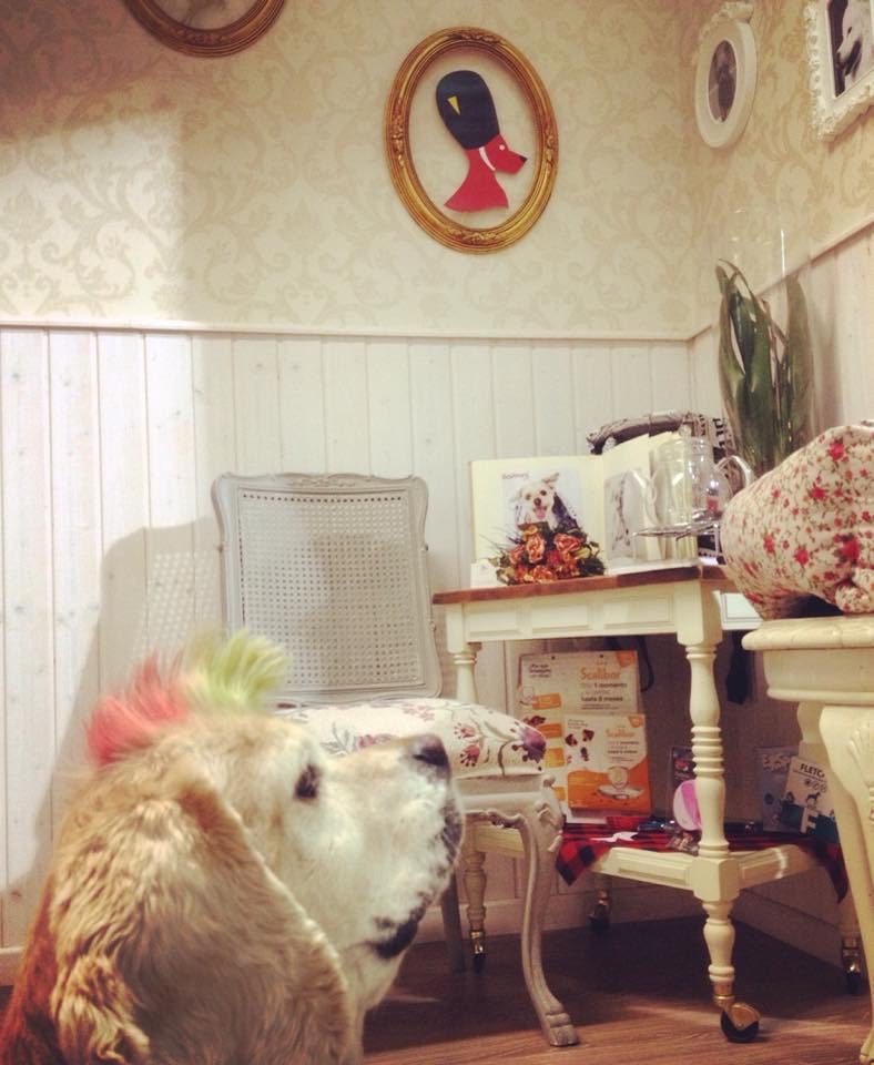Rincón del salón con espejos dorados y decoración clásica
