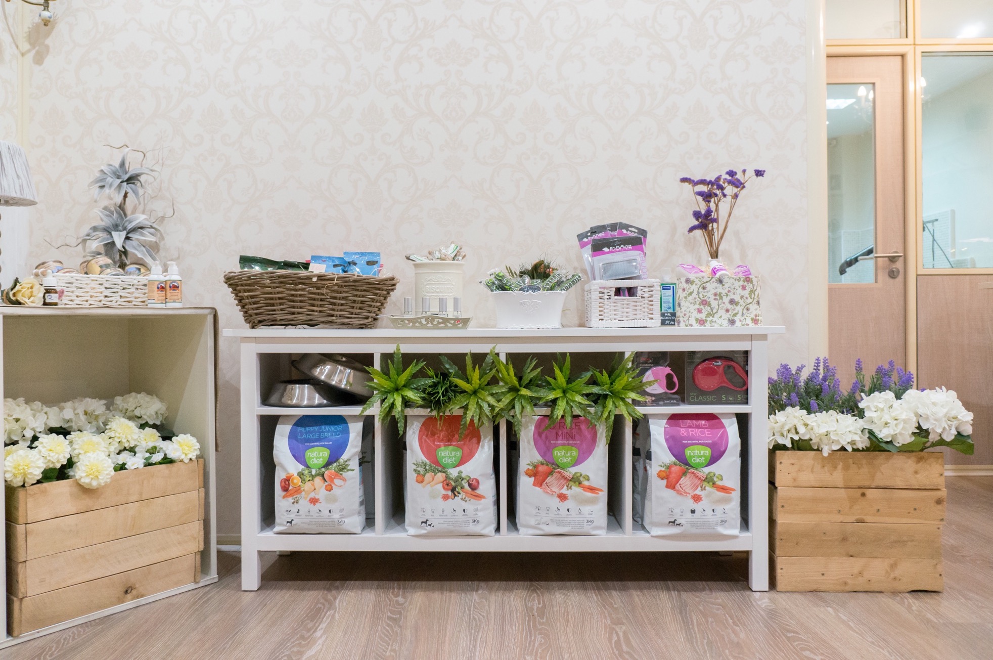 peluqueria-canina-zaragoza00015